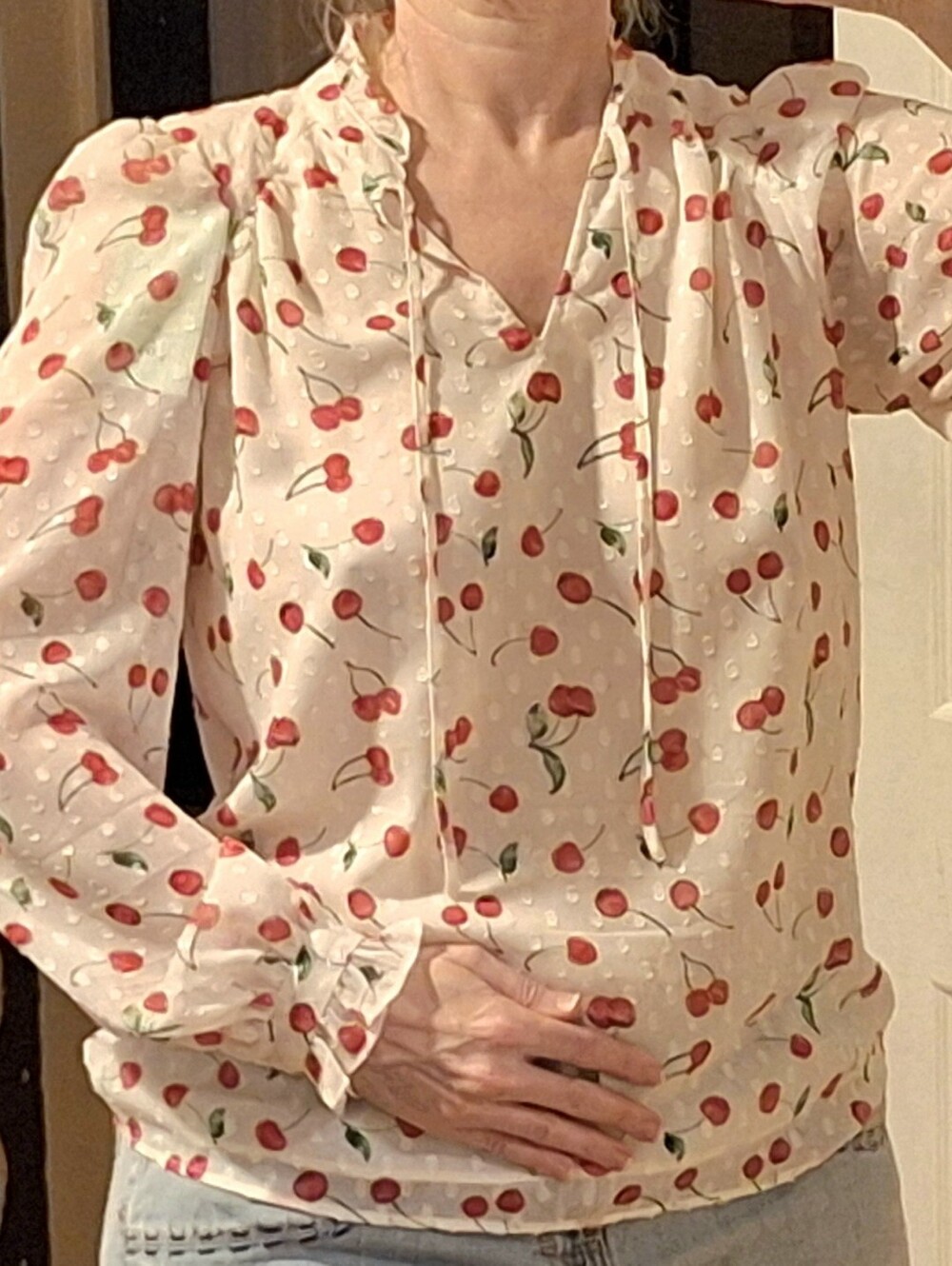 🍒JOIE🍒Long Sleeved Blouse